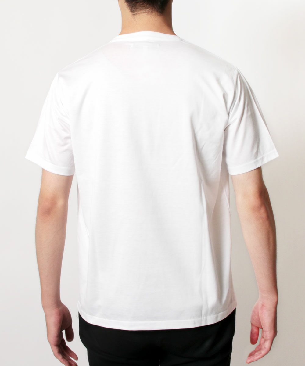 日本製シルケットコーマ白Tシャツ