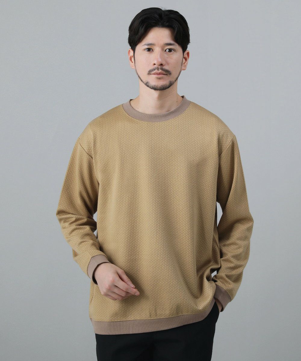 楽天市場】スウェット メンズ 秋 秋服 冬 冬服 長袖 クルーネック ジャガード 編み模様 ダブルフェイス デイリーユース 普段着 カジュアル  おしゃれ リブ 0702-35205 : Sputnicks（スプートニクス）