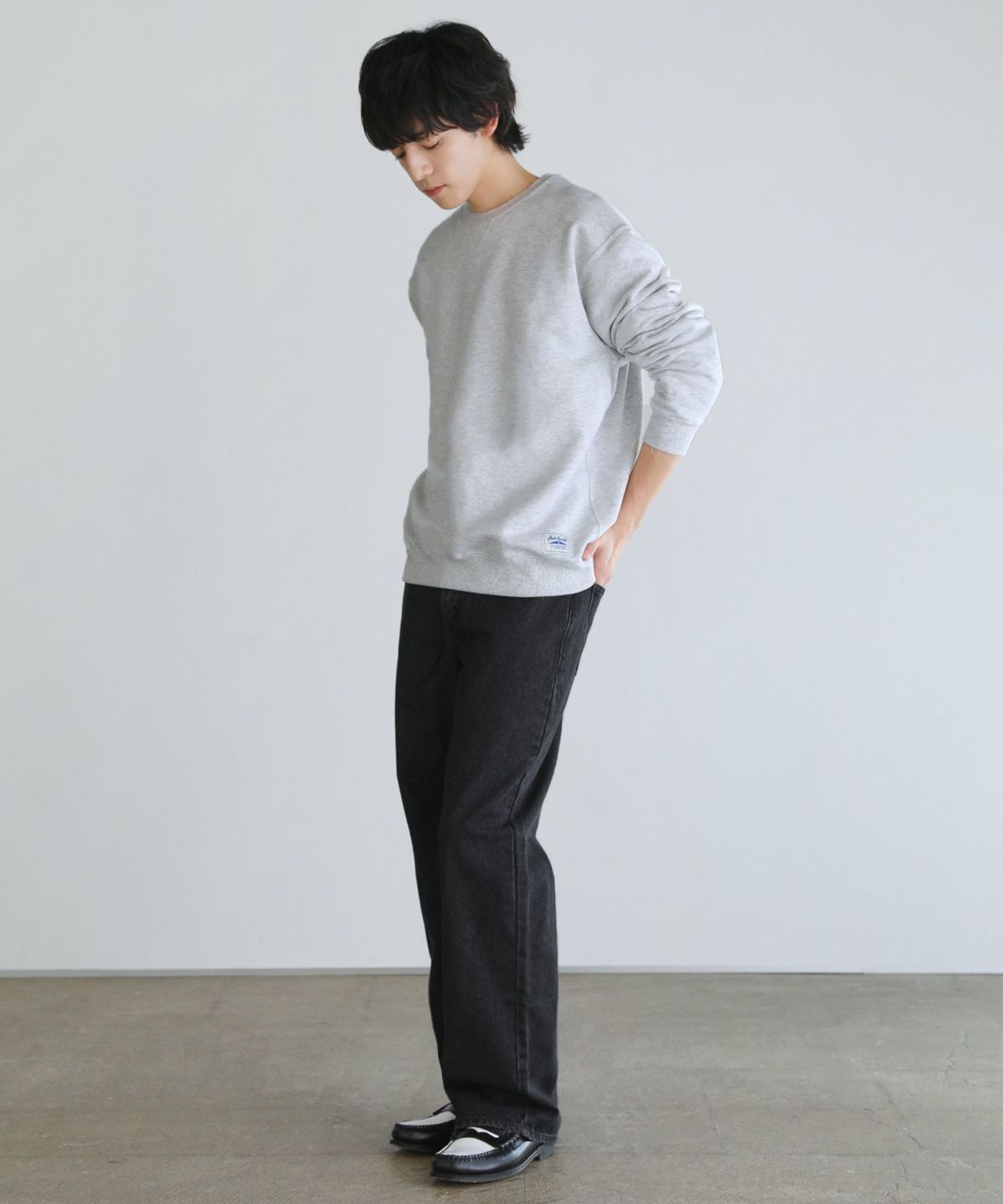STERNBERG 裏毛クルーネックプルオーバー　L 完売品 STERNBERG 裏毛クルーネックプルオーバー L 完売品